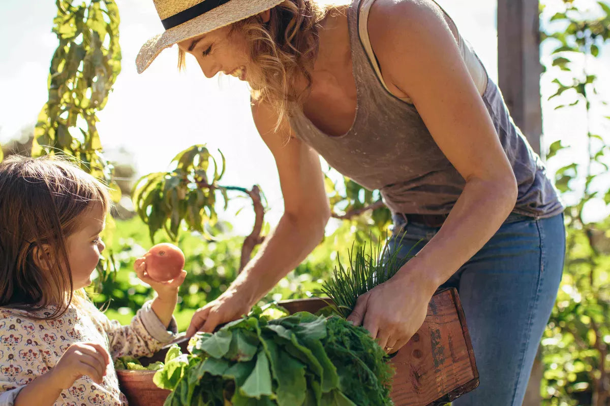 Nachhaltigkeit in der Küche – Tipps für umweltbewusstes Kochen und Essen