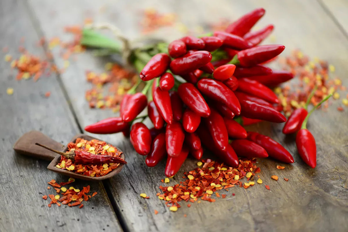 No heat no eat – warum dein Essen mehr Chili braucht