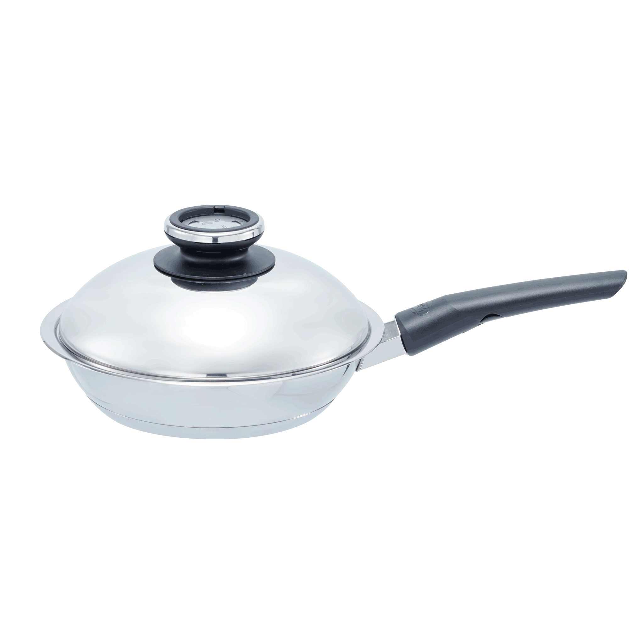 f12827d3da7543d501ec03bc1cd4c84d21268b2a_10046041_Roasting_Pan_24cm_2_0l_HotPan_rLH_M30s_mD.png